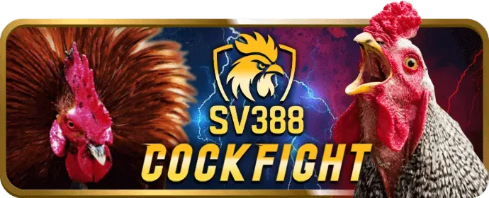 Hướng dẫn chơi nổ hũ tại 997bet
