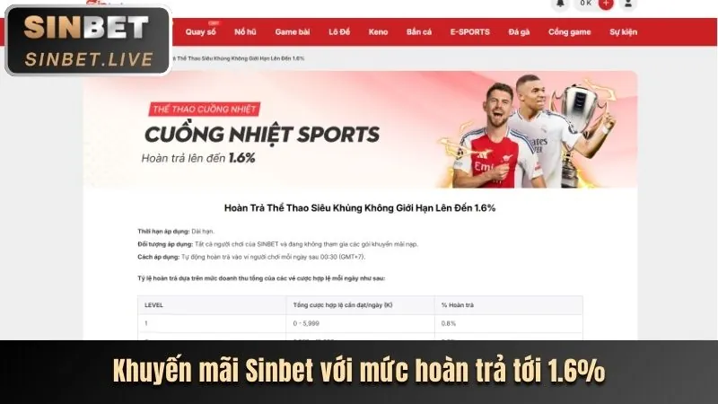 Cá cược thể thao 997bet